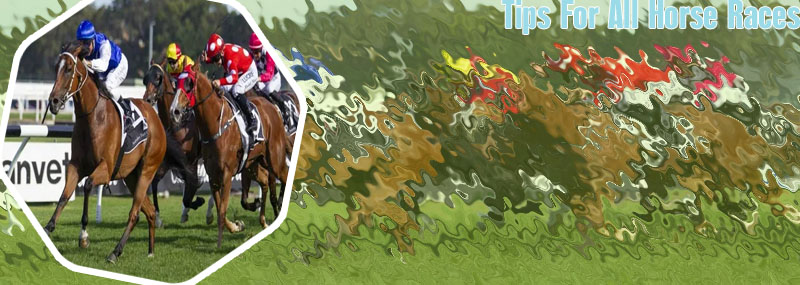 Best site for horse racing tips