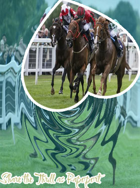 Top horse racing bets today